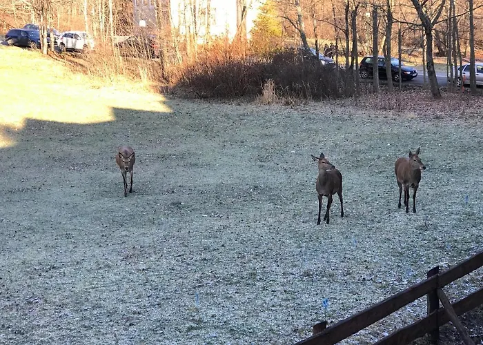 Lägenhet Pod Lomnickym Stitom - 105m2